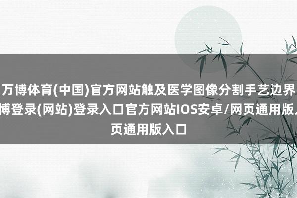 万博体育(中国)官方网站触及医学图像分割手艺边界-万博登录(网站)登录入口官方网站IOS安卓/网页通用版入口