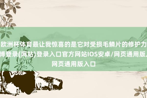 欧洲杯体育最让我惊喜的是它对受损毛鳞片的修护力-万博登录(网站)登录入口官方网站IOS安卓/网页通用版入口