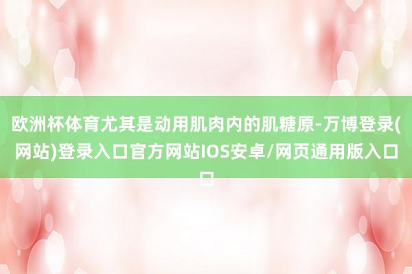 欧洲杯体育尤其是动用肌肉内的肌糖原-万博登录(网站)登录入口官方网站IOS安卓/网页通用版入口