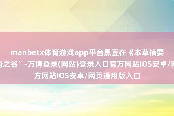 manbetx体育游戏app平台黑豆在《本草摘要》中被誉为“肾之谷”-万博登录(网站)登录入口官方网站IOS安卓/网页通用版入口